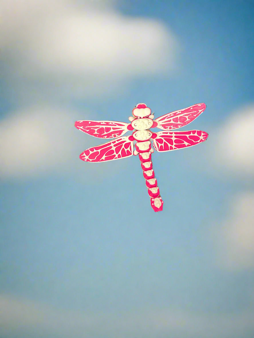 ππͺ° 3D Printed Articulating Dragonfly β 4" Body, 5" Wingspan β¨