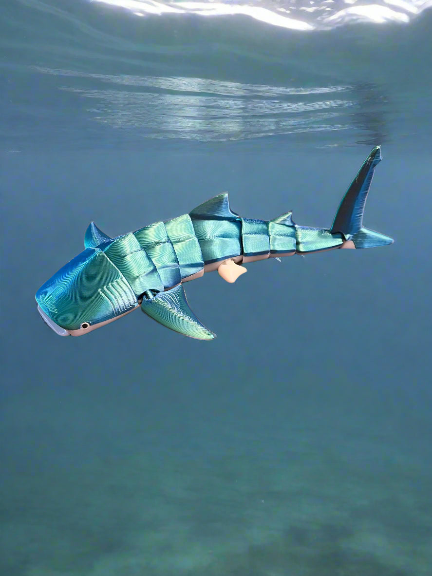 🐋 3D Printed Articulating Whale Shark – 8.5 Inches 🦈