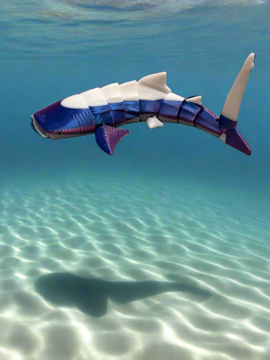 🐋 3D Printed Articulating Whale Shark – 8.5 Inches 🦈